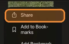 Safari menu with Share highlighted